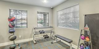 Desert Sage Gallery 33