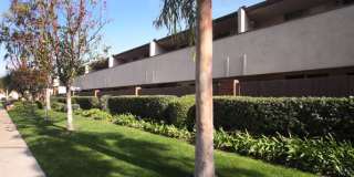 Colony Frontera Apartments Gallery 19