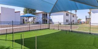 Agave on 83rd Gallery 22