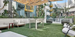 The Oasis Gallery 43