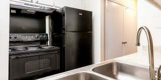 Encore on Mustang Gallery 1