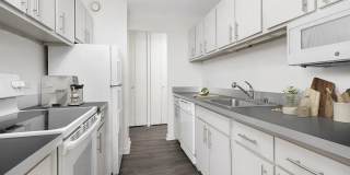 1133 North Dearborn Gallery 18