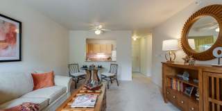 Elmhaven Manor - Senior Living Gallery 9