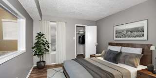 Serena Vista Gallery 6