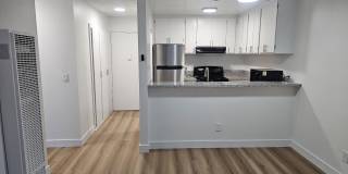 Bayside Terrace Gallery 1