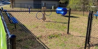 Icon Waverly Gallery 71