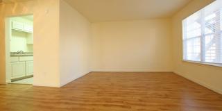 The Vintage Gallery 10