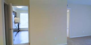 Indigo Gallery 8
