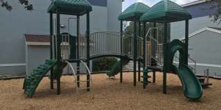 Oak Chase I Gallery 4