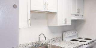 Orlando Sky Gallery 3