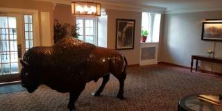 1165 Delaware Gallery 15