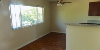 Mojave Breeze Gallery 12