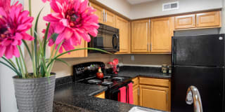 Wellington Apartments Gallery 2