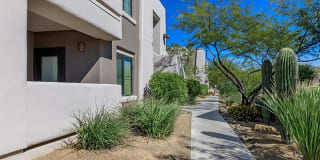 Legacy Apartments at Dove Mountain Gallery 31