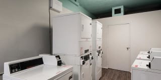 The Atrium Gallery 3