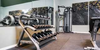 Ralston Gardens Gallery 8