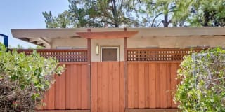Cherry Blossom Apartments Gallery 6