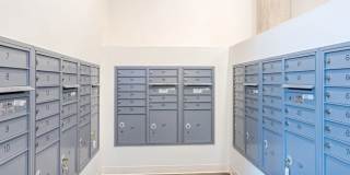 Koz on Market Gallery 14