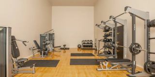 Augustine at Glendale Gallery 11