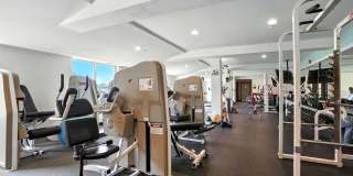 Redtail Court Gallery 27