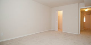 Camden Hills Gallery 25