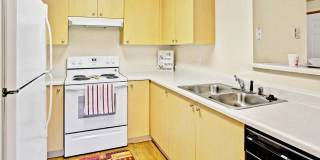 Sunrise Lane Gallery 1