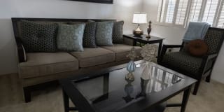 Crest Oasis Gallery 30