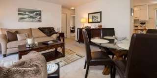 Dresden Forest Gallery 5