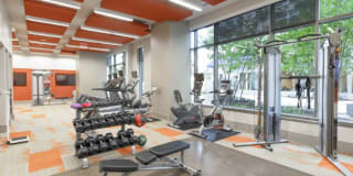 Gallery Bethesda I Gallery 26