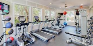 Prosper Orange Beach Gallery 15