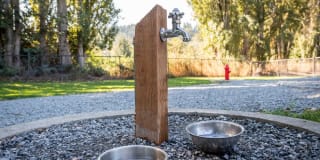 Campbell Run Gallery 17