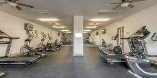 Wedgewood Village Gallery 5