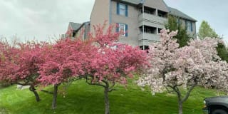 Sunset Ridge Apartments Gallery 2