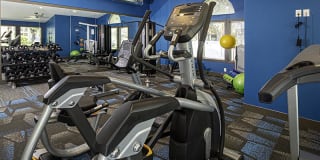 Candlestick Lane Gallery 10