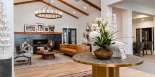 Sonoma Hill Gallery 16