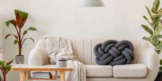 The Meadows Gallery 1