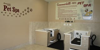 Summerhill Pointe Apartments Gallery 6