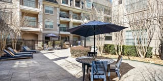 Rise at Elmside Gallery 19