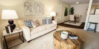 Abbotts Creek Gallery 11