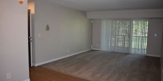 The Lake Shore Apartments Gallery 60