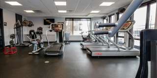 Prospect on Central Gallery 2