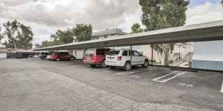 Linda Vista Village Gallery 16