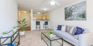 Waterford Place Gallery 16