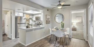 Desert Sage Gallery 3