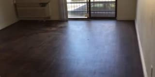 Poinsettia Club Gallery 4