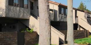Huntington Creek Gallery 55
