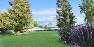 Camden Village Gallery 26