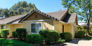 Heather Ridge Gallery 10