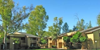 Garden Place Gallery 19