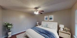Cozumel Gallery 4